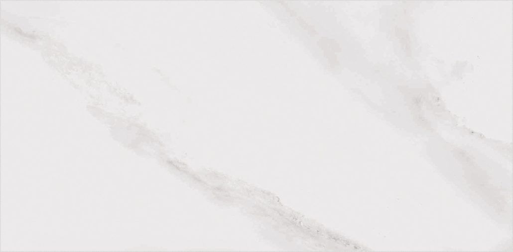 OLBA 29.2 X 58.5 PORCELAIN SPANISH WALL & FLOOR BATHROOM TILES