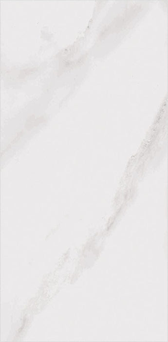 OLBA 29.2 X 58.5 PORCELAIN SPANISH WALL & FLOOR BATHROOM TILES