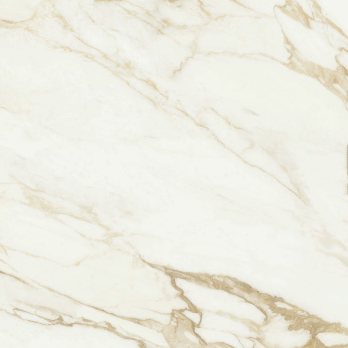 Adaggio Gold Pulido 120x120 Floor&Wall Bathroom Kitchen Tiles