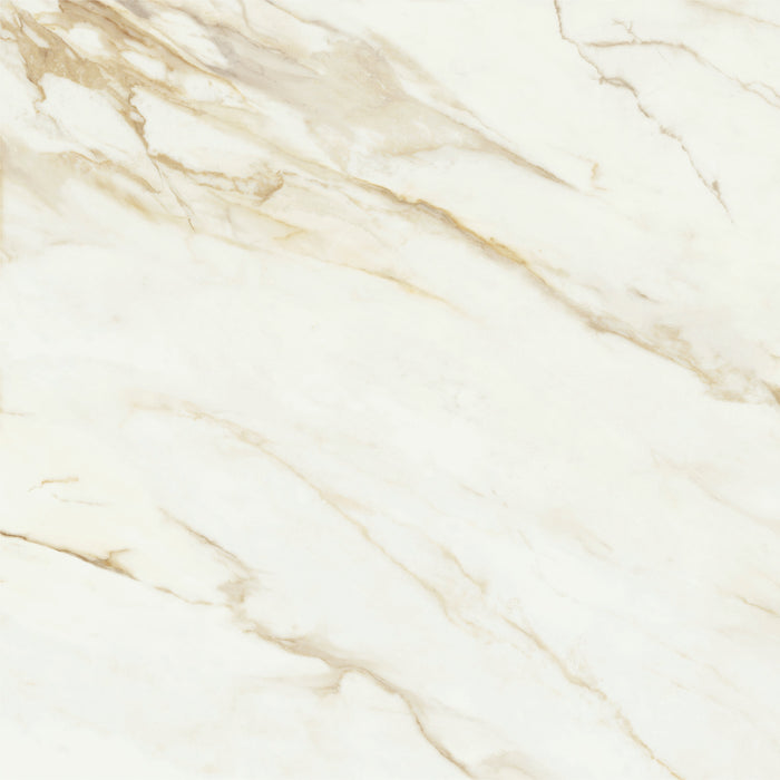 Adaggio Gold Pulido 120x120 Floor&Wall Bathroom Kitchen Tiles