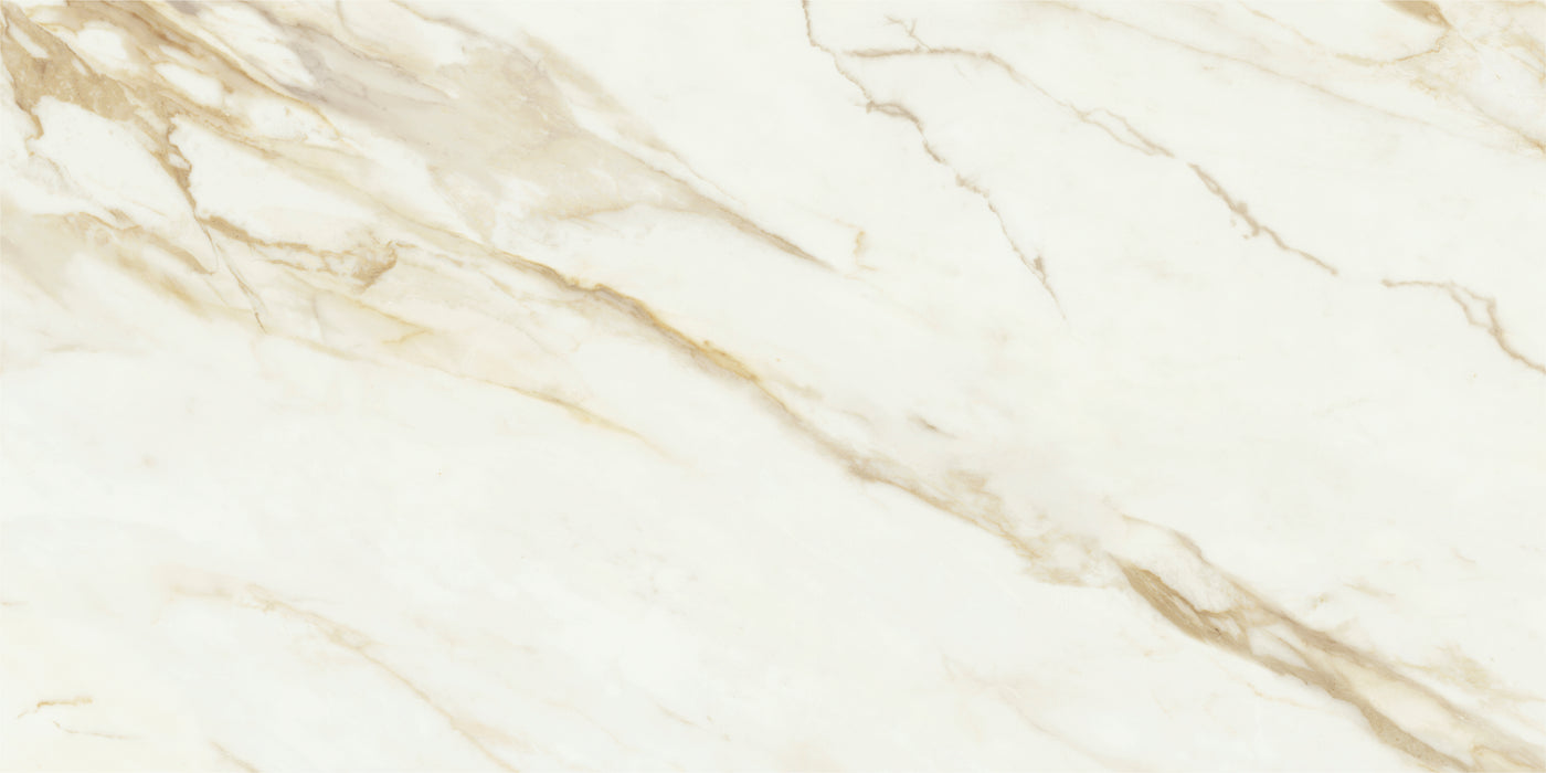 Adaggio Gold Pulido 80x160 Floor&Wall Bathroom Kitchen Tiles