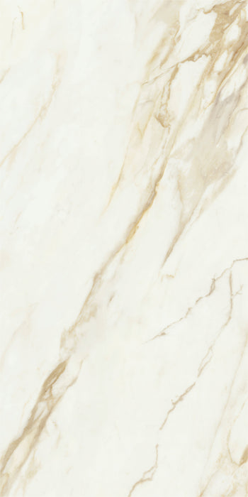 Adaggio Gold Pulido 80x160 Floor&Wall Bathroom Kitchen Tiles