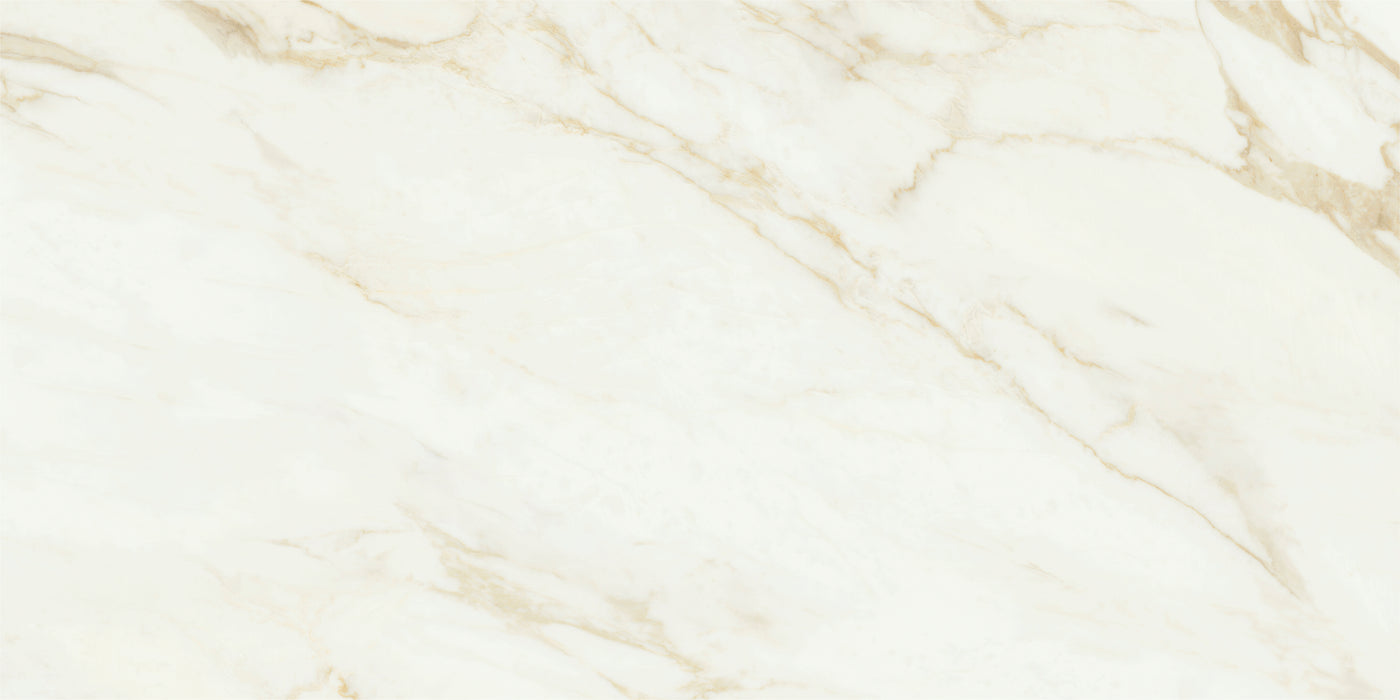 Adaggio Gold Pulido 80x160 Floor&Wall Bathroom Kitchen Tiles